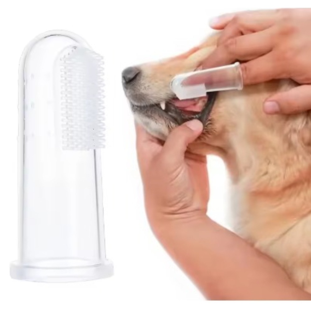 Super Soft Pet Finger Toothbru - Tools & Workshop Equipment For Sale In Hampshire Page 3 50 Gumtree ulasan dan harga